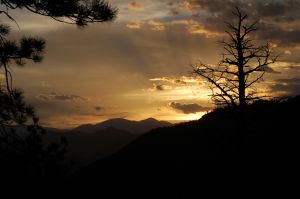 2012 Colorado Trail 094.JPG